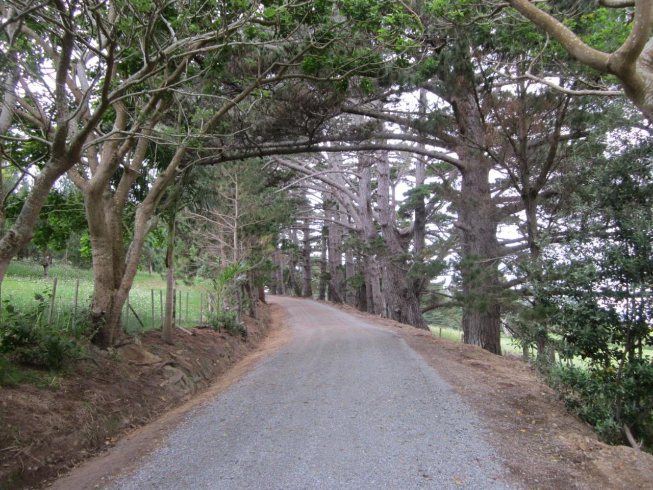 Koati Views Hotel Lake Ohia Exterior foto